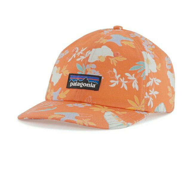 Patagonia パタゴニア P-6 Label Trad Cap P-6 ラベルトラッド