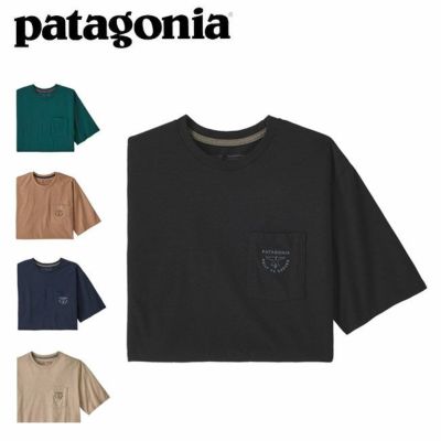 Patagonia パタゴニア M's Alpine Icon Regenerative Organic Certified Cotton T-Shir  メンズアルパインアイコンリジェネラティブオーガニックコットンTシャツ 37400 【メール便・代引不可】